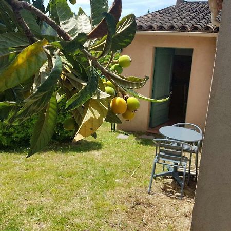 Grand studio La Roquette-sur-Siagne Esterno foto