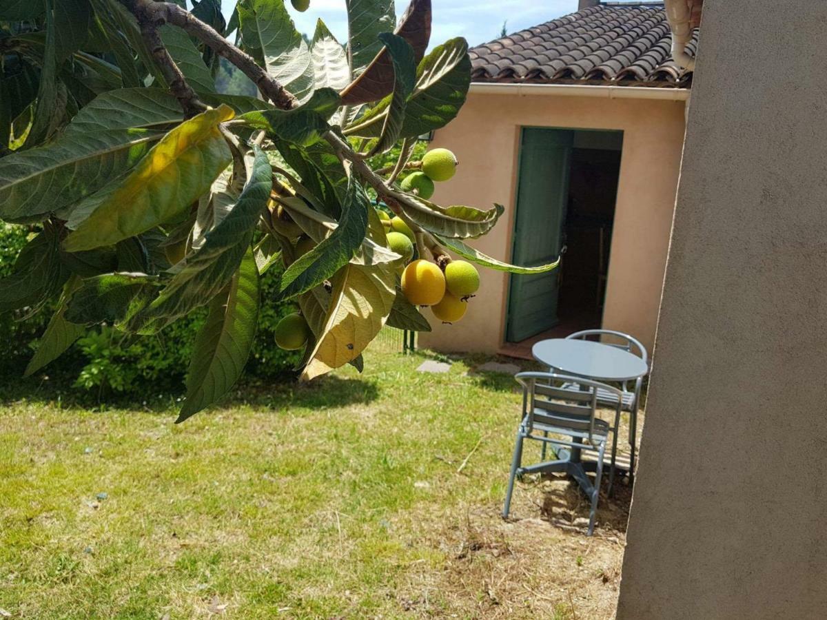 Grand studio La Roquette-sur-Siagne Esterno foto