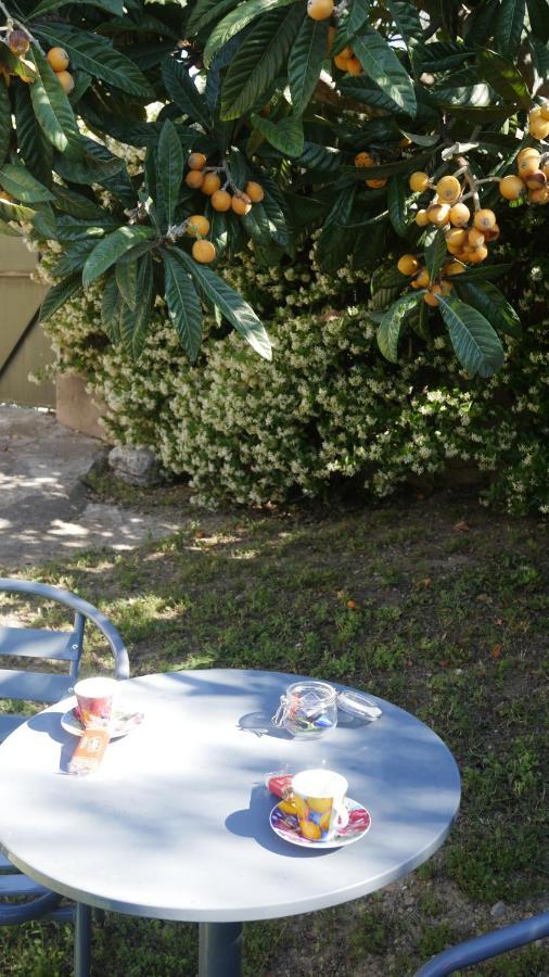 Grand studio La Roquette-sur-Siagne Esterno foto